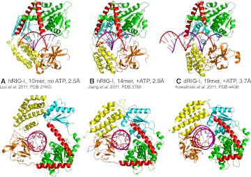 FIGURE 2.