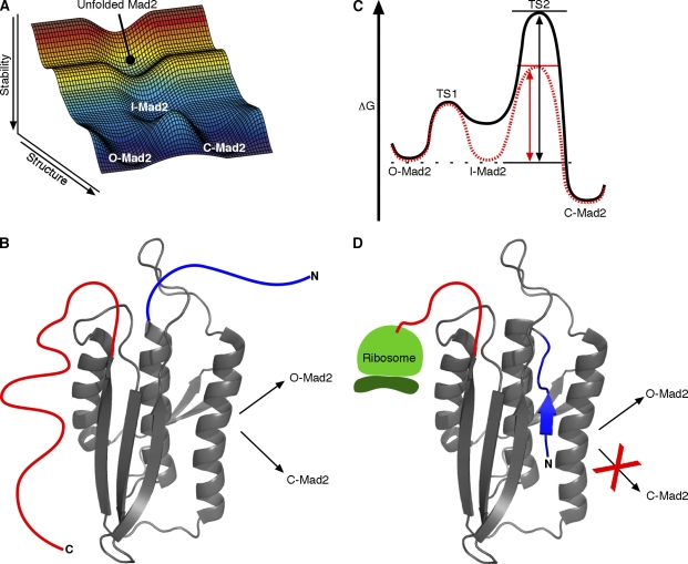 Figure 3.