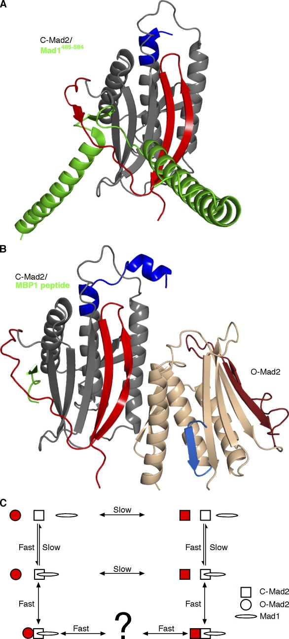 Figure 2.