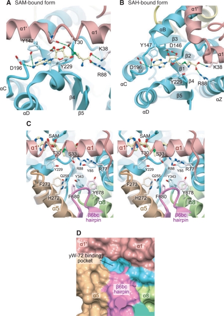 Figure 4.