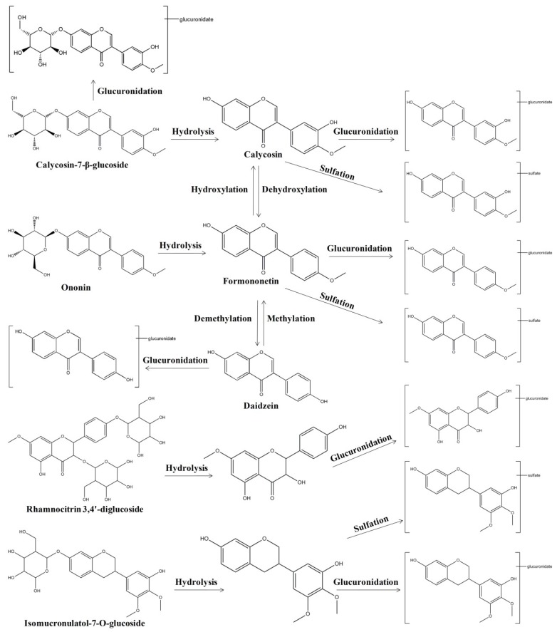 Figure 7