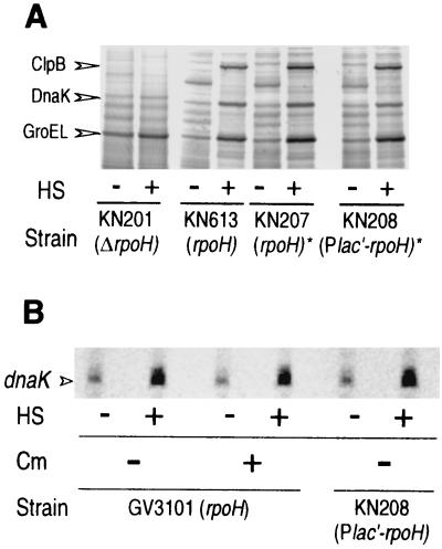 FIG. 5