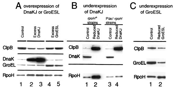 FIG. 6