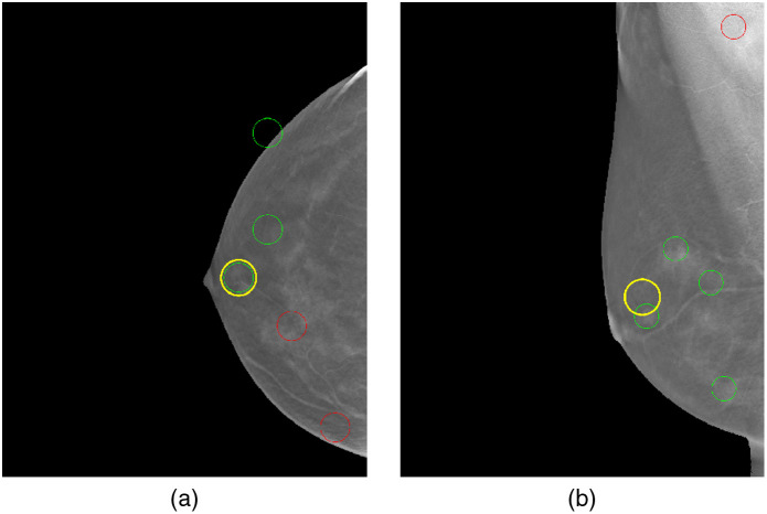 Fig. 5