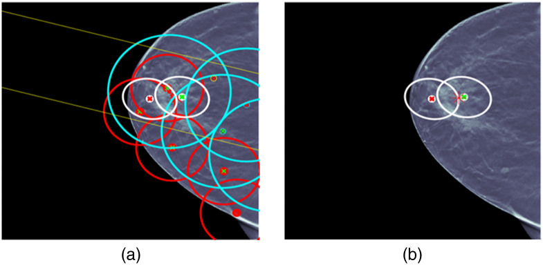 Fig. 10