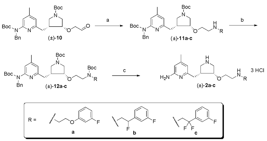 Scheme 3