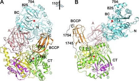 FIGURE 2.