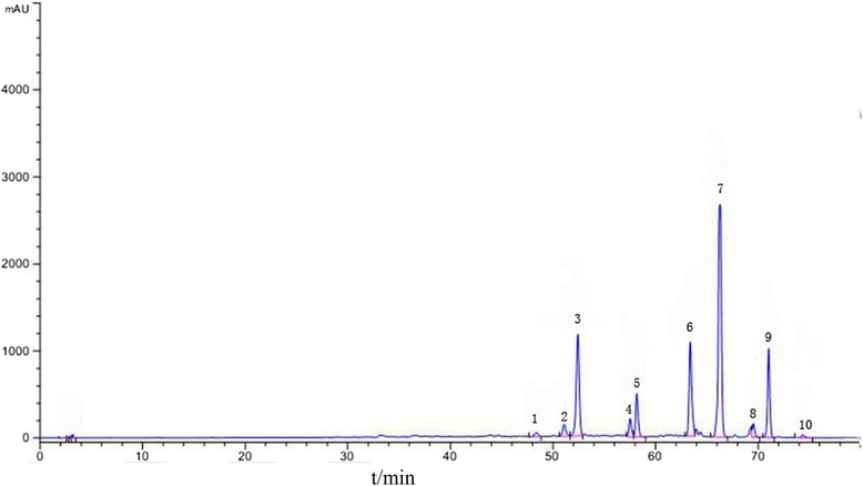 Fig. 3