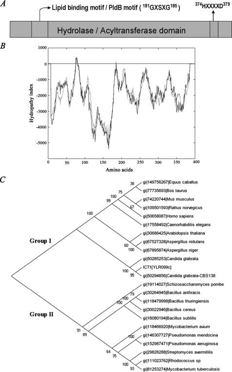 FIGURE 3.