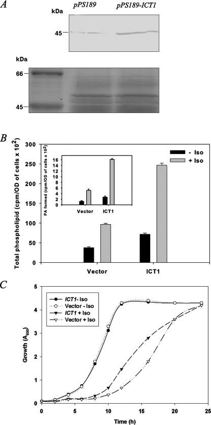 FIGURE 2.