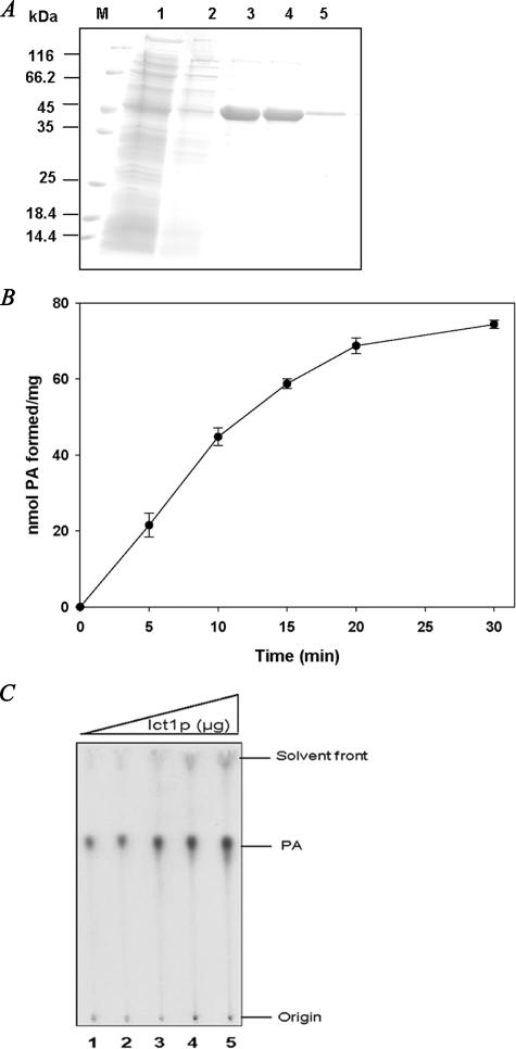 FIGURE 4.