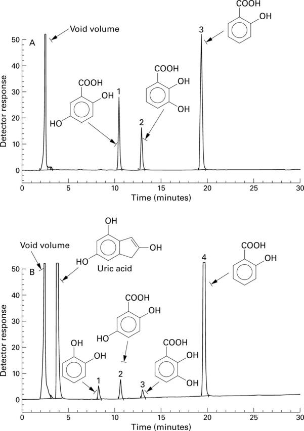 Figure 2  