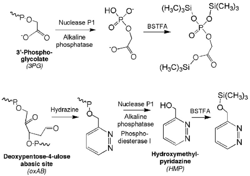 Scheme 2