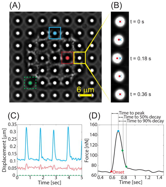 Figure 5