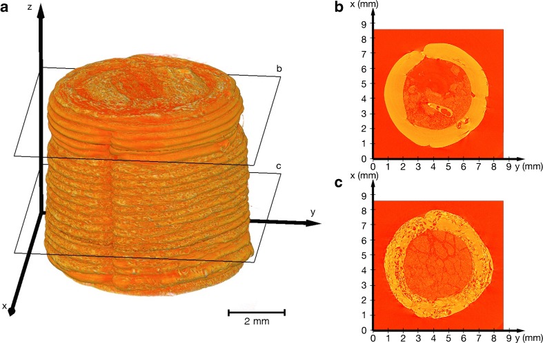 Fig. 4