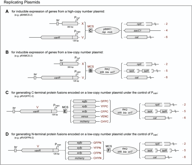 Figure 9.