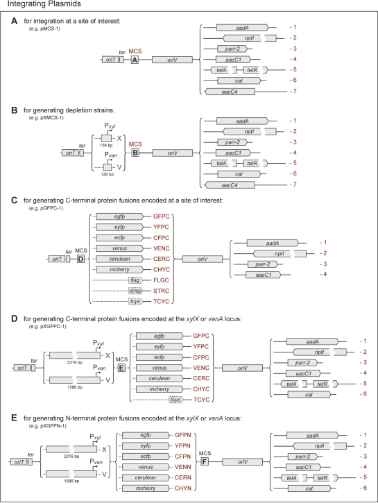 Figure 6.