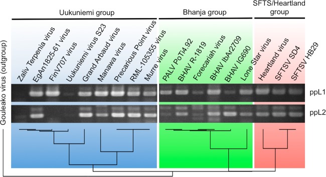 FIG 2