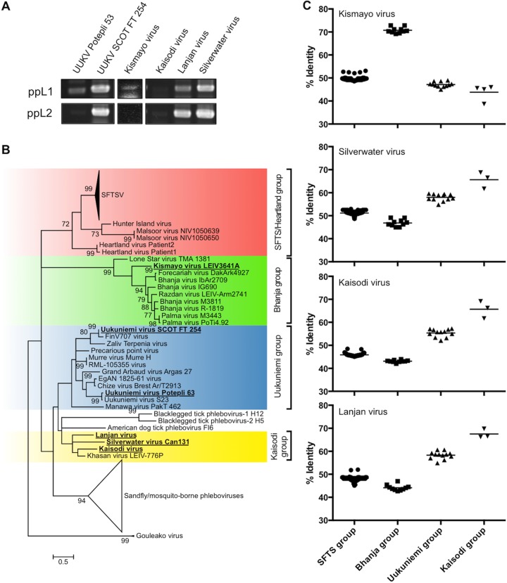 FIG 3