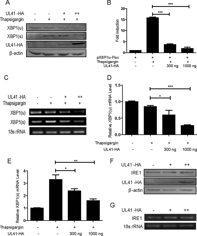 FIG 2