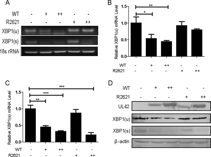 FIG 4