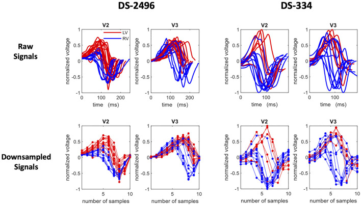 FIGURE 2