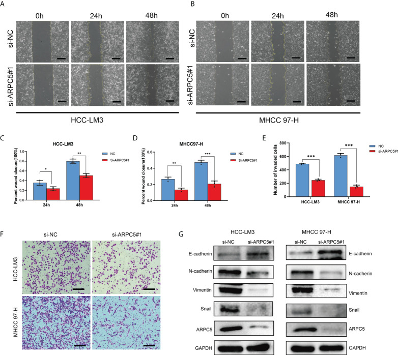 Figure 12