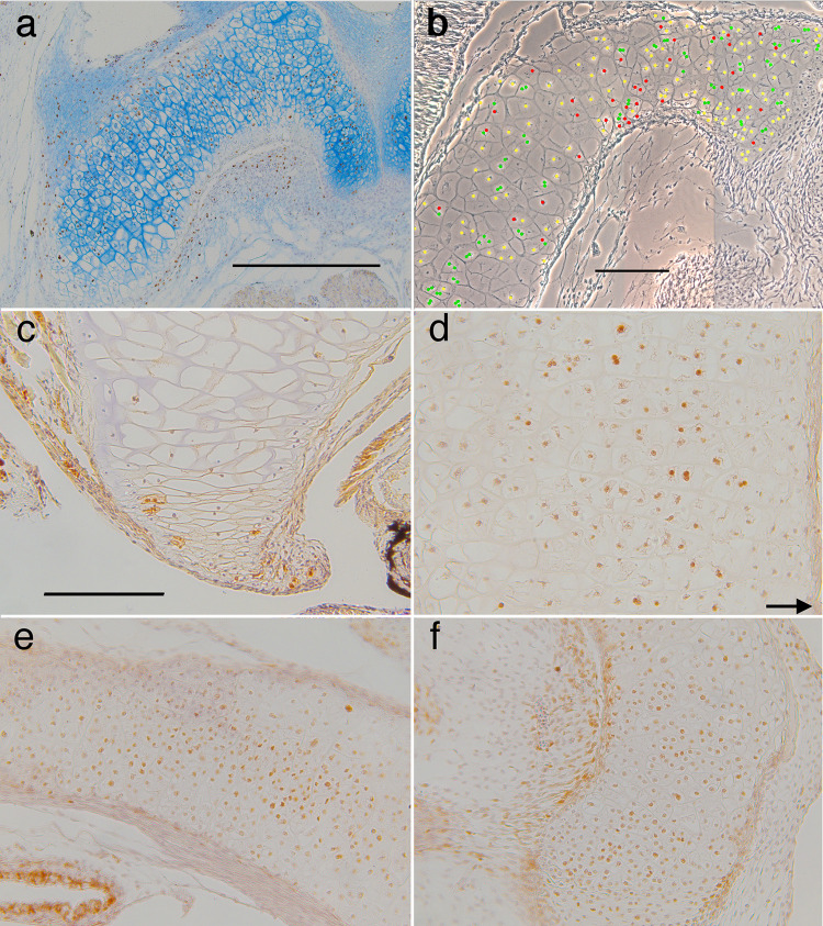 Fig 12