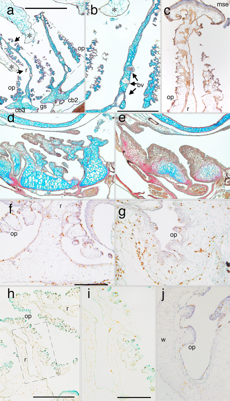 Fig 13