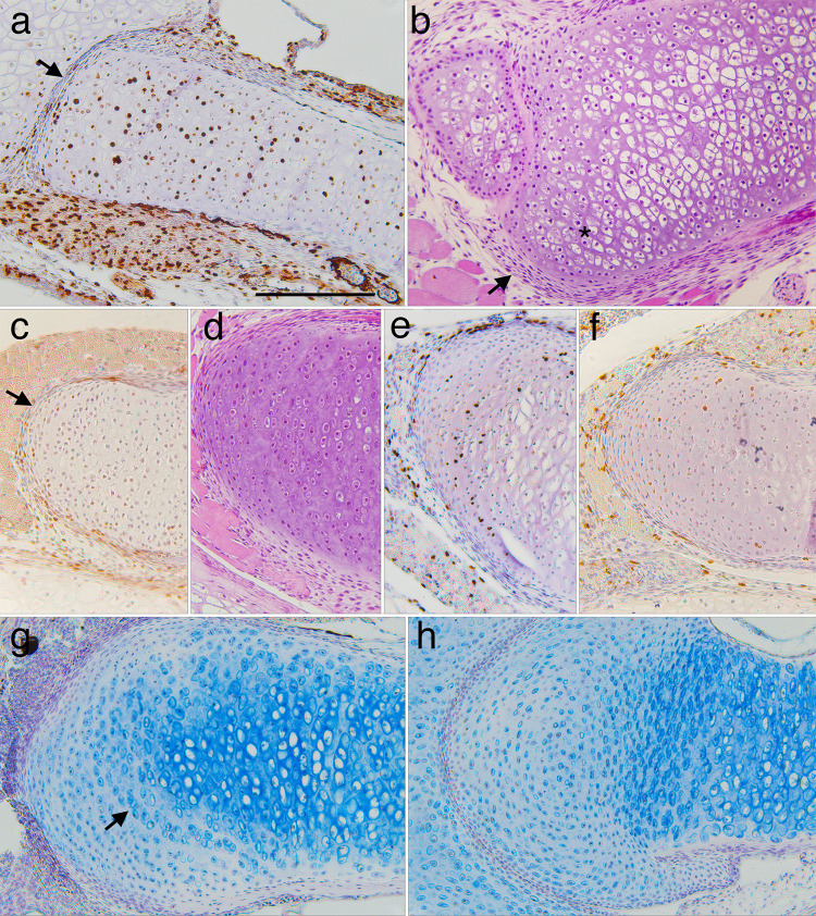 Fig 9