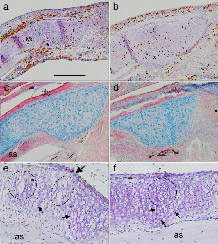 Fig 10