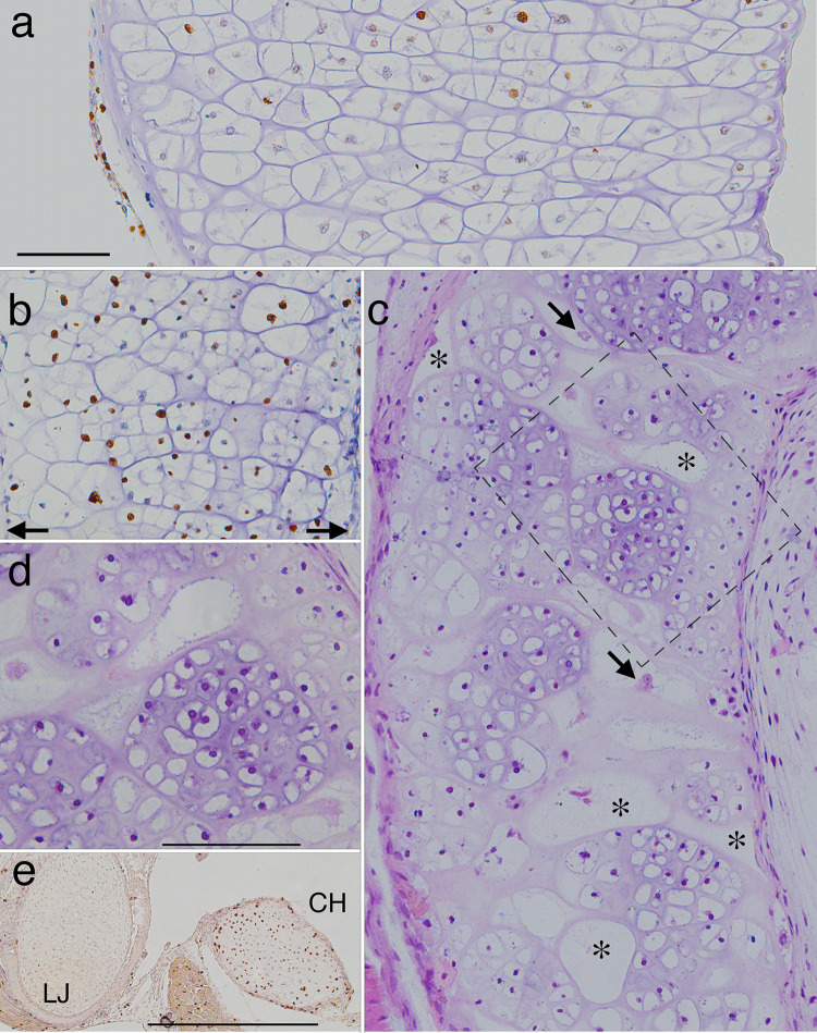 Fig 11