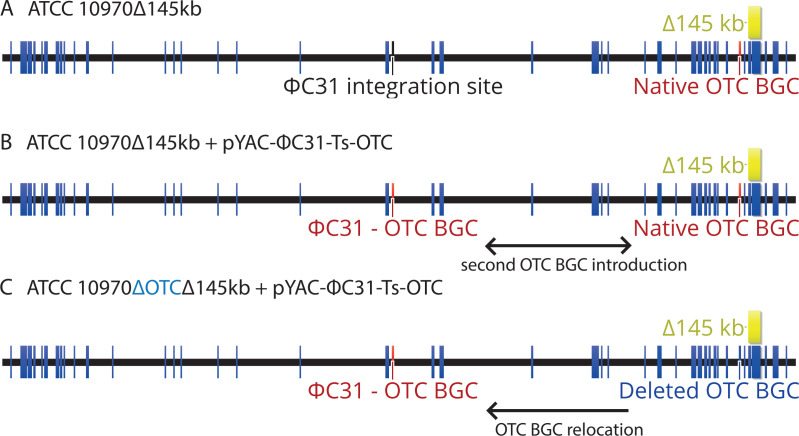 Fig 10