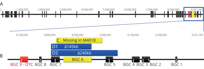 Fig 2