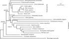 <sc>Fig</sc>. 2.