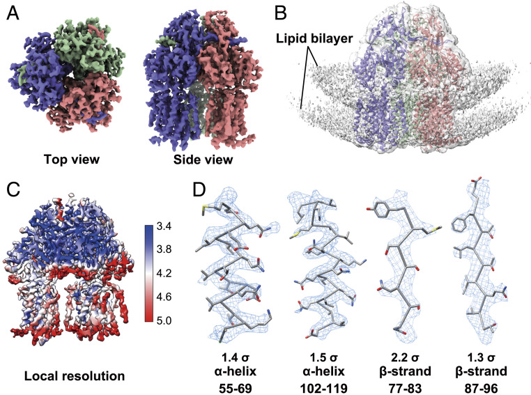 Fig. 3.