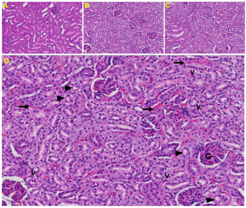 Figure 9