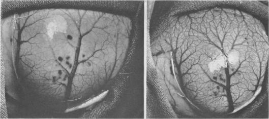 Fig. 9. (Left), Fig. 10. (Right)