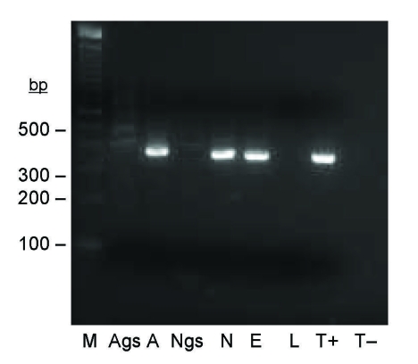 Figure 2