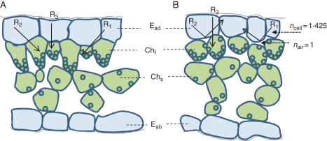 Fig. 7.