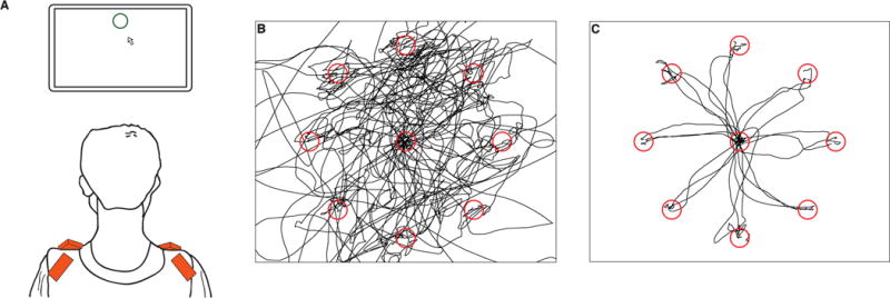 Fig. 1