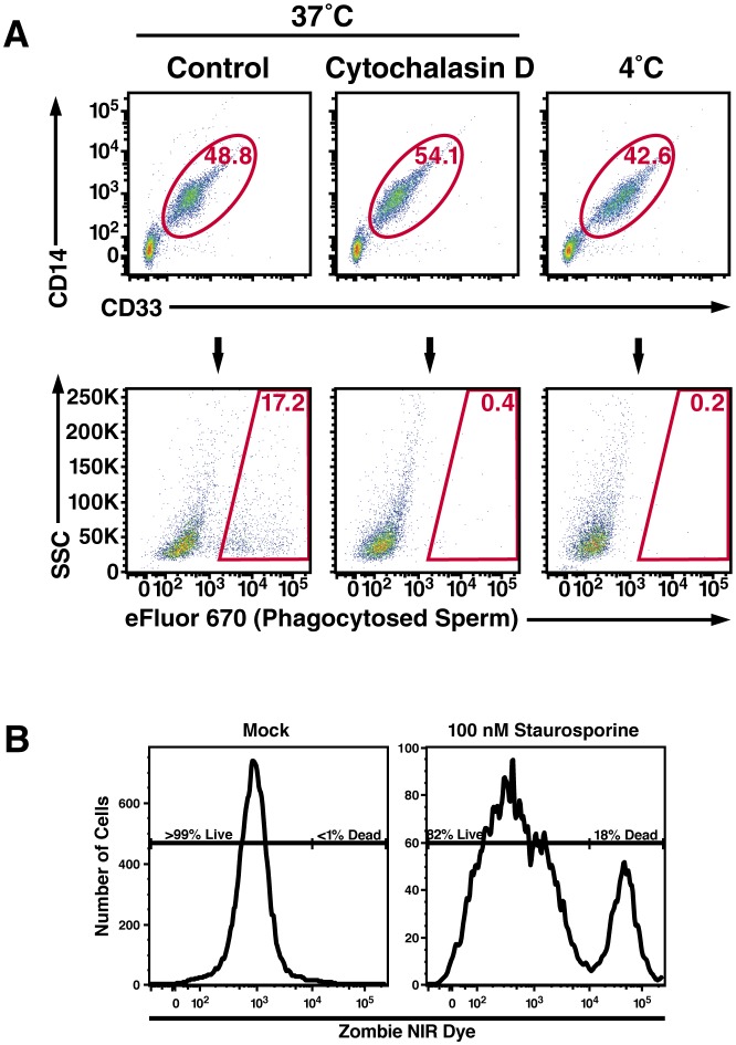 Figure 3—figure supplement 2.