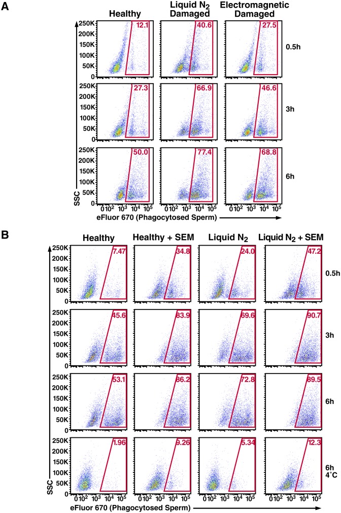 Figure 3—figure supplement 3.