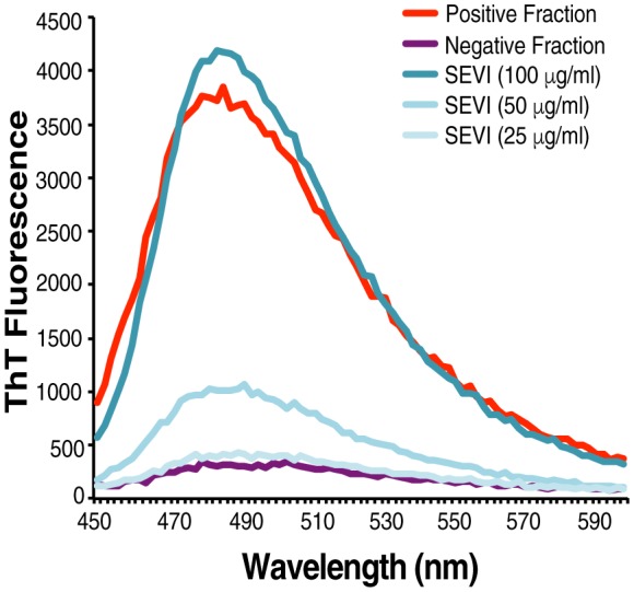 Figure 2—figure supplement 2.