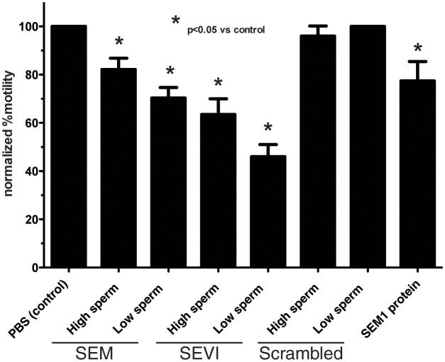 Figure 2—figure supplement 1.