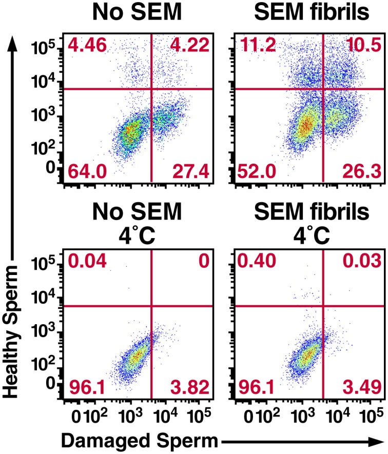 Figure 3—figure supplement 5.