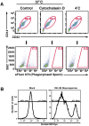Figure 3—figure supplement 2.