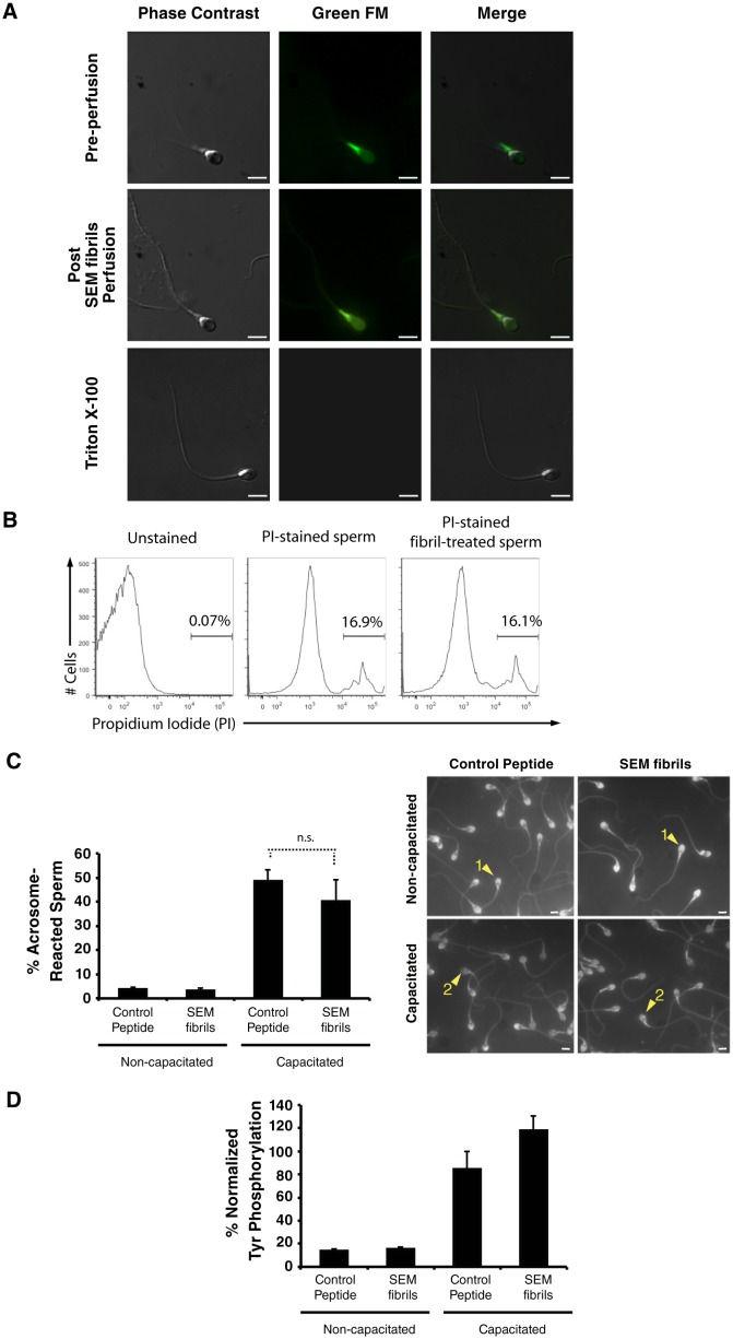 Figure 2—figure supplement 4.