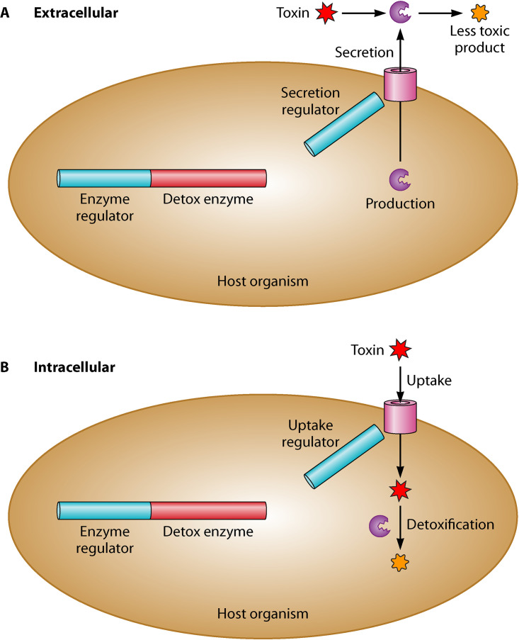 FIG 1