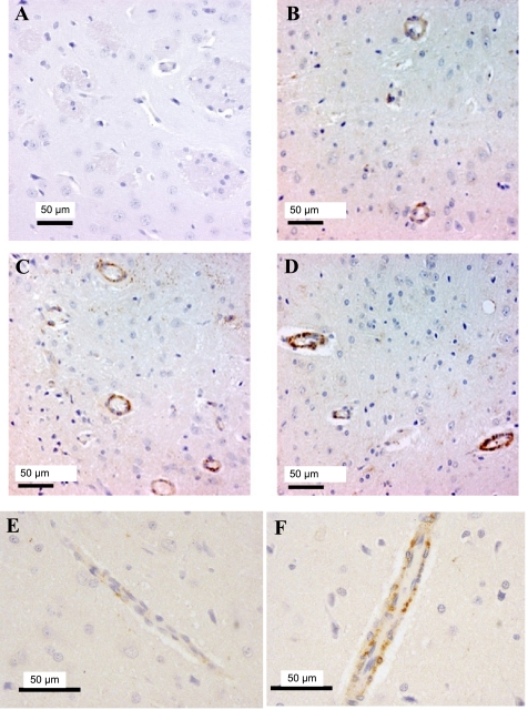 Fig. 9.